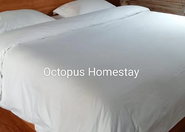Ferienhaus Nunggalan Octopus Uluwatu